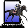 The Handicapping Store